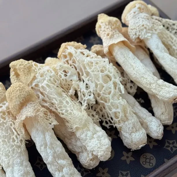 侯元堂 煲汤营养菌竹笙花特大规格18cm