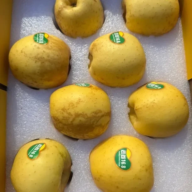 云南当季新鲜脆甜维纳斯苹果香甜多汁