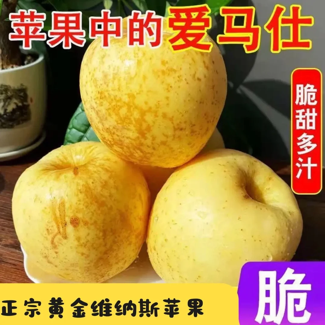正宗山东维纳斯苹果当季新鲜水果脆甜多汁雀斑女神丑苹果