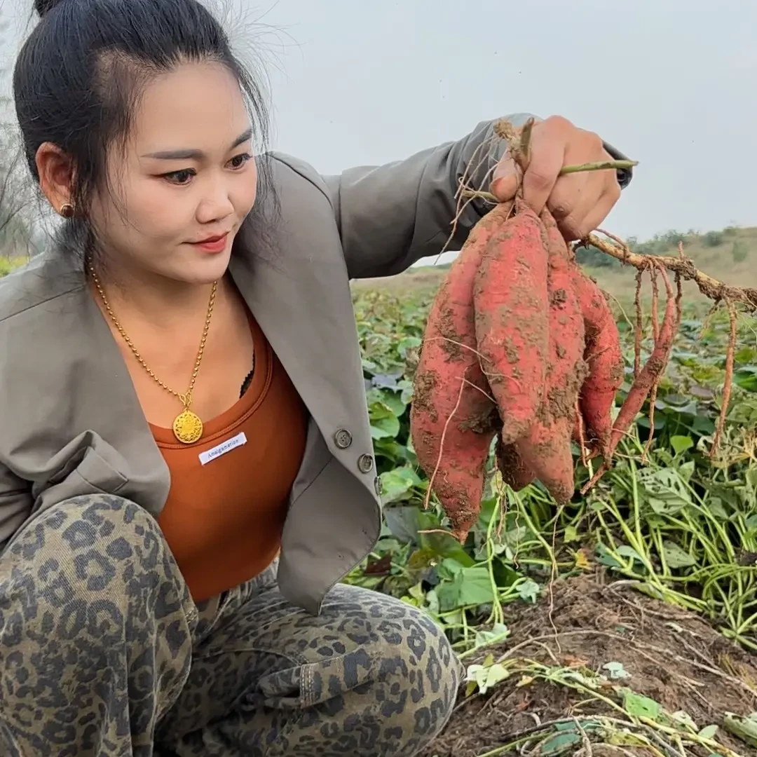 爆浆流油超甜西瓜红 红心蜜署沙地种植软弱香甜皮薄 农家自种五斤