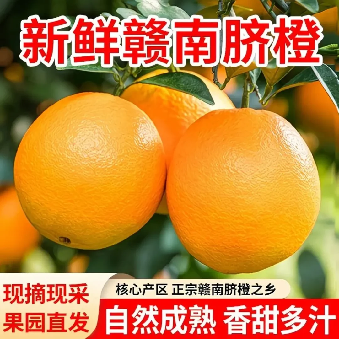 正宗江西赣南脐橙安远脐橙农家甜橙子现摘现发新鲜水果5/10/20斤