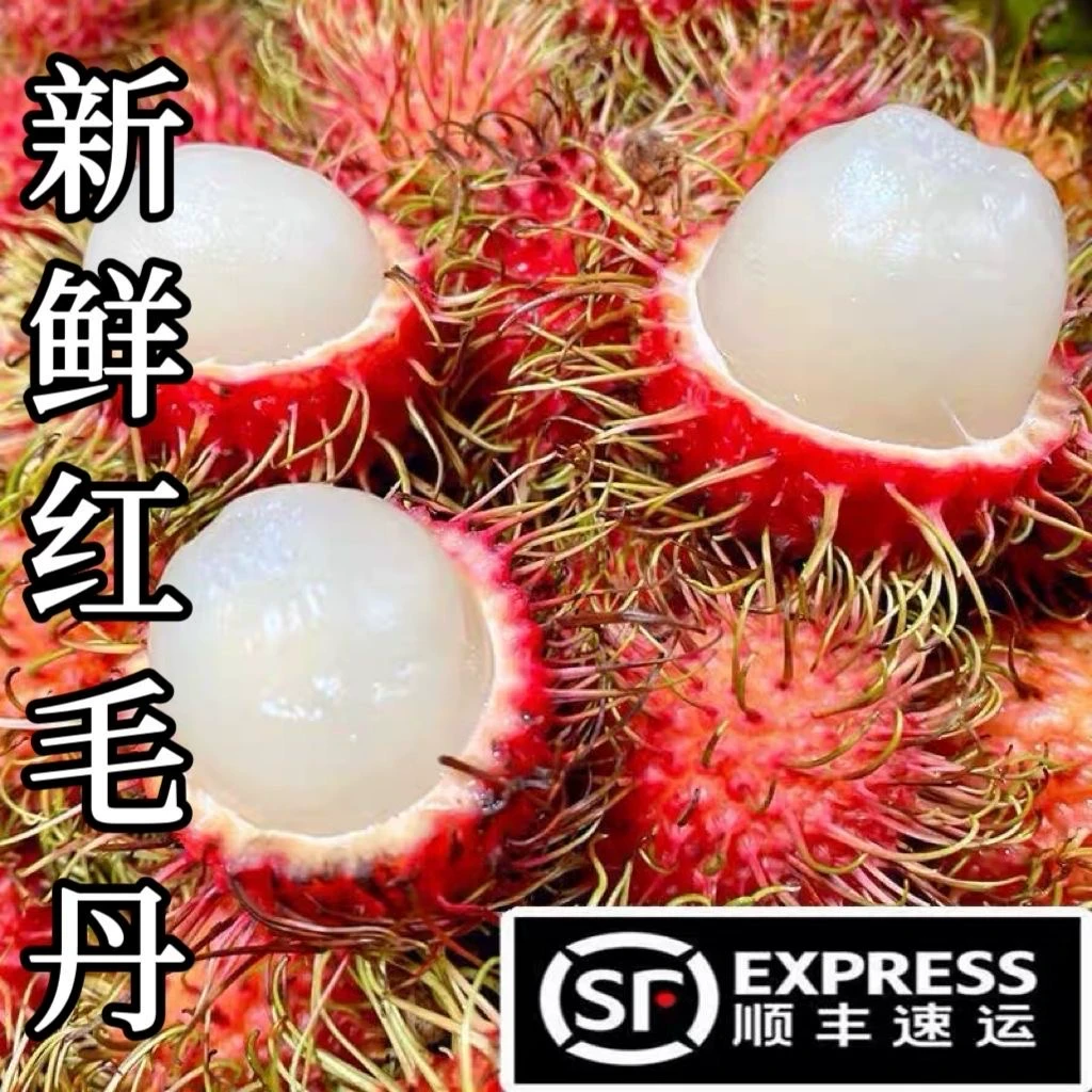 现摘新鲜红毛丹水果热带精选批发毛荔枝红丹现摘现越南顺丰鲜荔枝