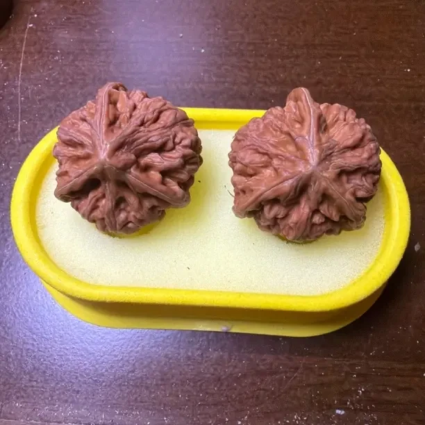 御龙粗筋文山三棱