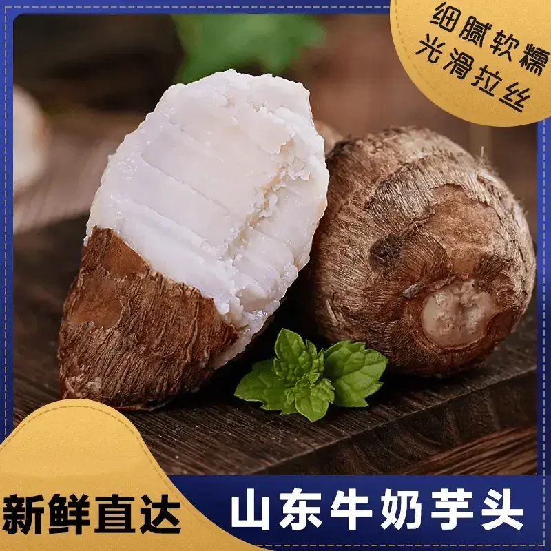 牛奶芋头新鲜小芋头小香芋土特产软糯香甜皮薄饱满口感细腻丝滑