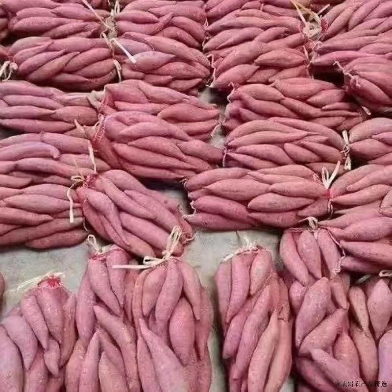 新鲜现挖沙地蜜薯1-10斤超甜黄心烤红薯番薯地瓜蔬菜烟薯软糯香甜