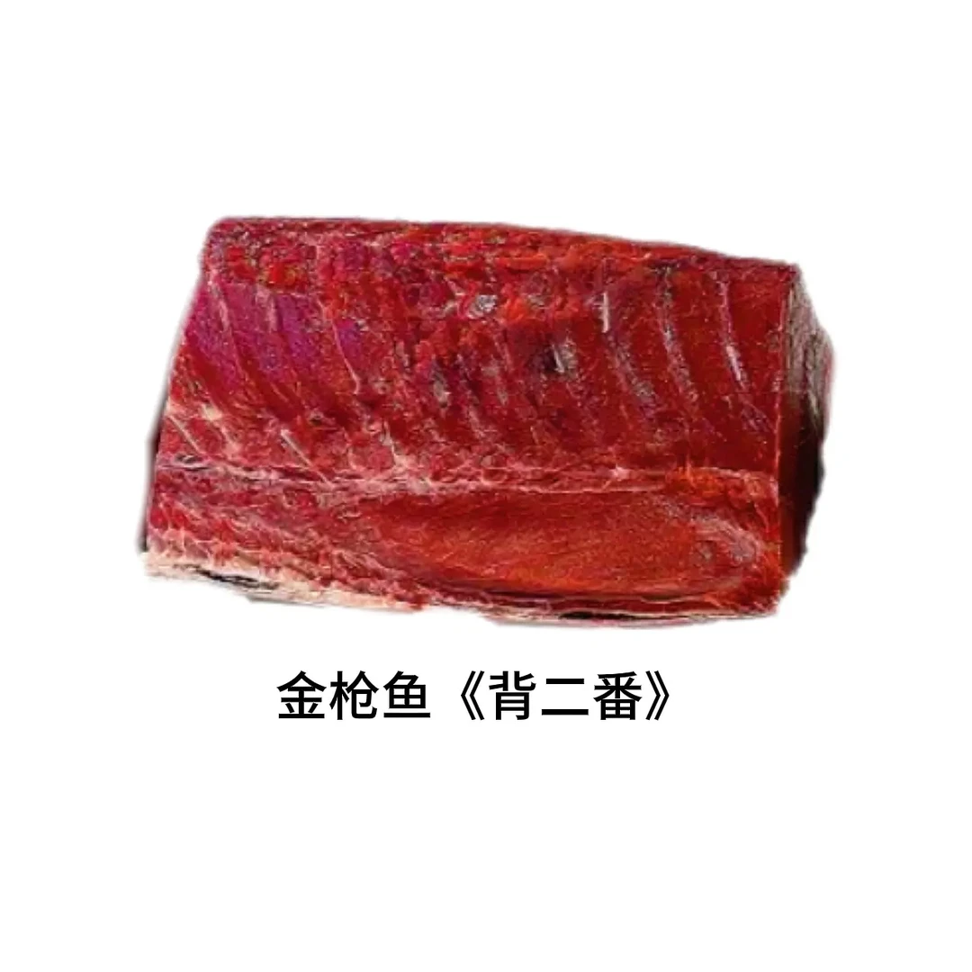 金枪鱼《背二番段》