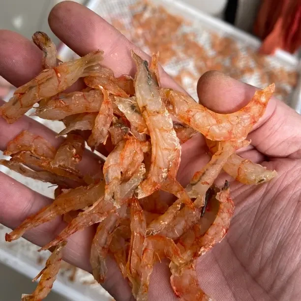 崇武本地野生红虾干 干净卫生 新鲜好吃