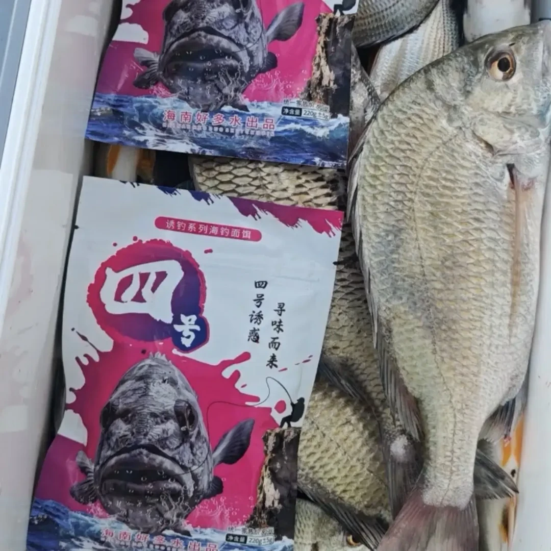 四号海钓面饵黑鲷白腊黄鳍鲷牛屎腊红点泥萌各类通用面饵打窝聚鱼