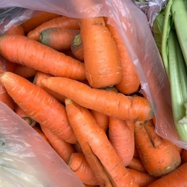 沙地现挖新鲜带泥胡萝卜脆甜可口营养健康蔬菜