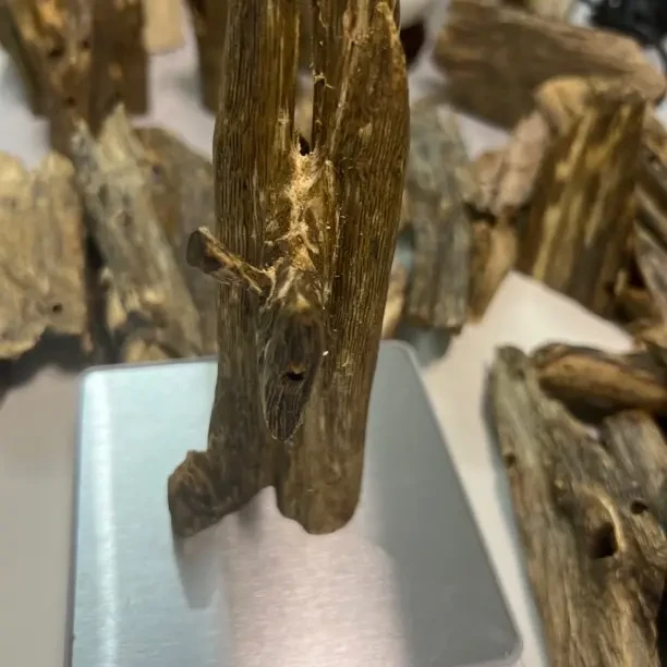 金沙叶虫漏花蜜香甜油脂丰富 35克