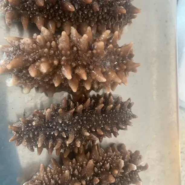 即食海参18-25个头/斤口感Q弹深海海参品质保证