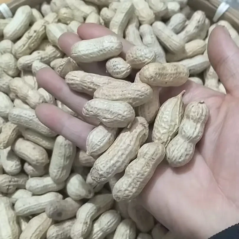 农家自种生花生 新鲜美味