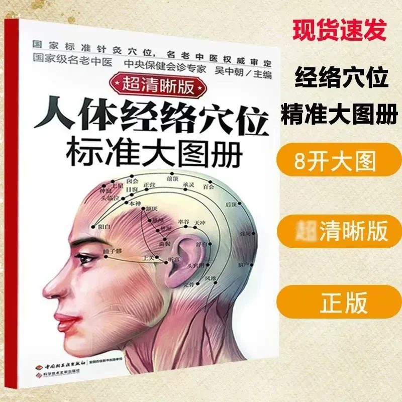 【师芝林】书籍人体经络穴位标准大图册中医针灸清晰图册x