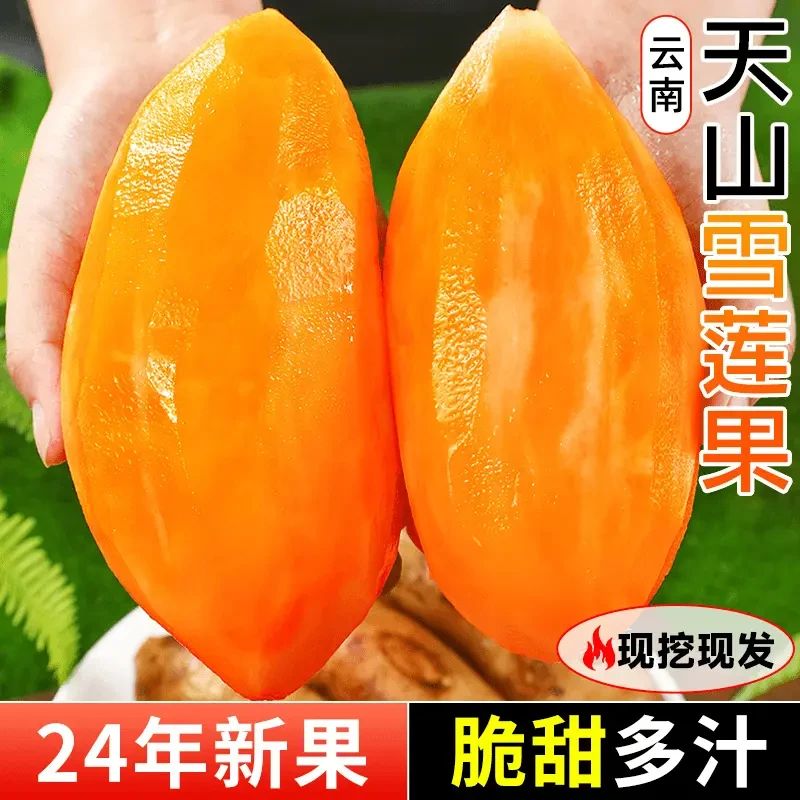 【稀有珍品/天山雪莲】云南天山雪莲果脆甜多汁清甜可口营养美味D2
