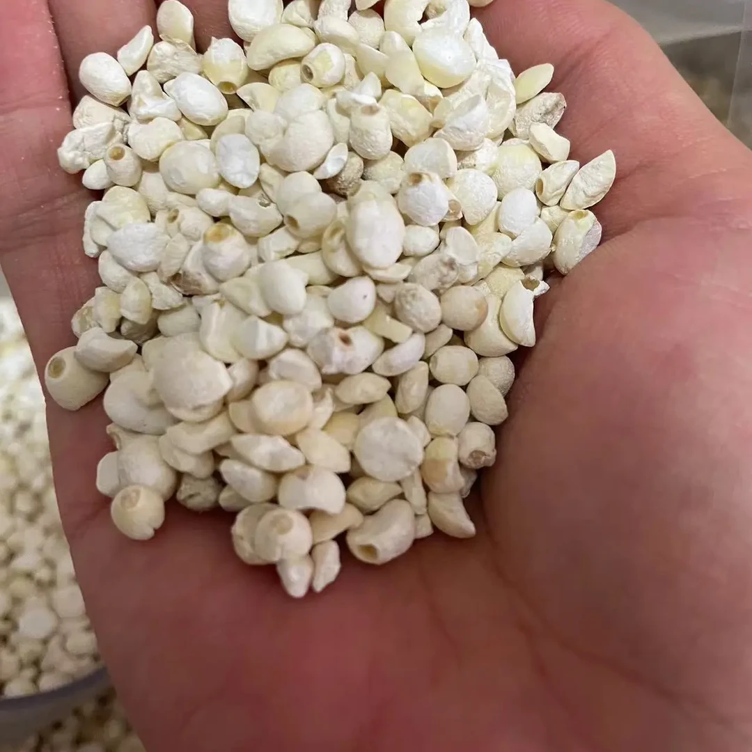 苏州特产苏芡碎好吃软糯鸡头米新货