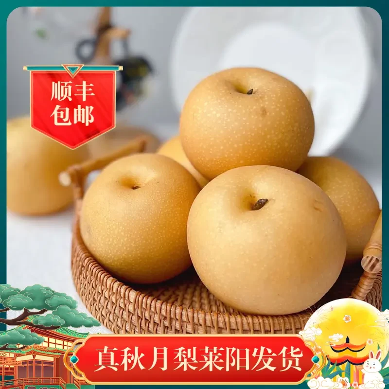 正宗山东秋月梨脆甜多汁细嫩化渣新鲜应季水果特大5斤冰糖梨