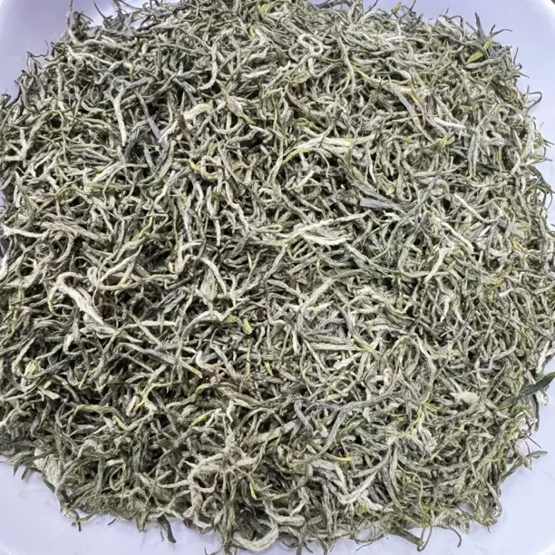 贵州毛尖绿茶2025毛尖浓香型(散茶)