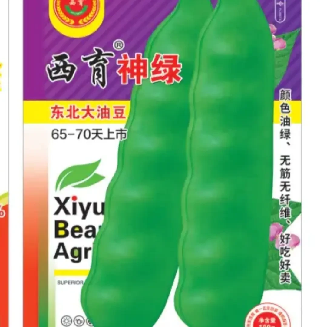 西育神绿油豆角种子东北油绿宽大早熟优质豆角种籽100克