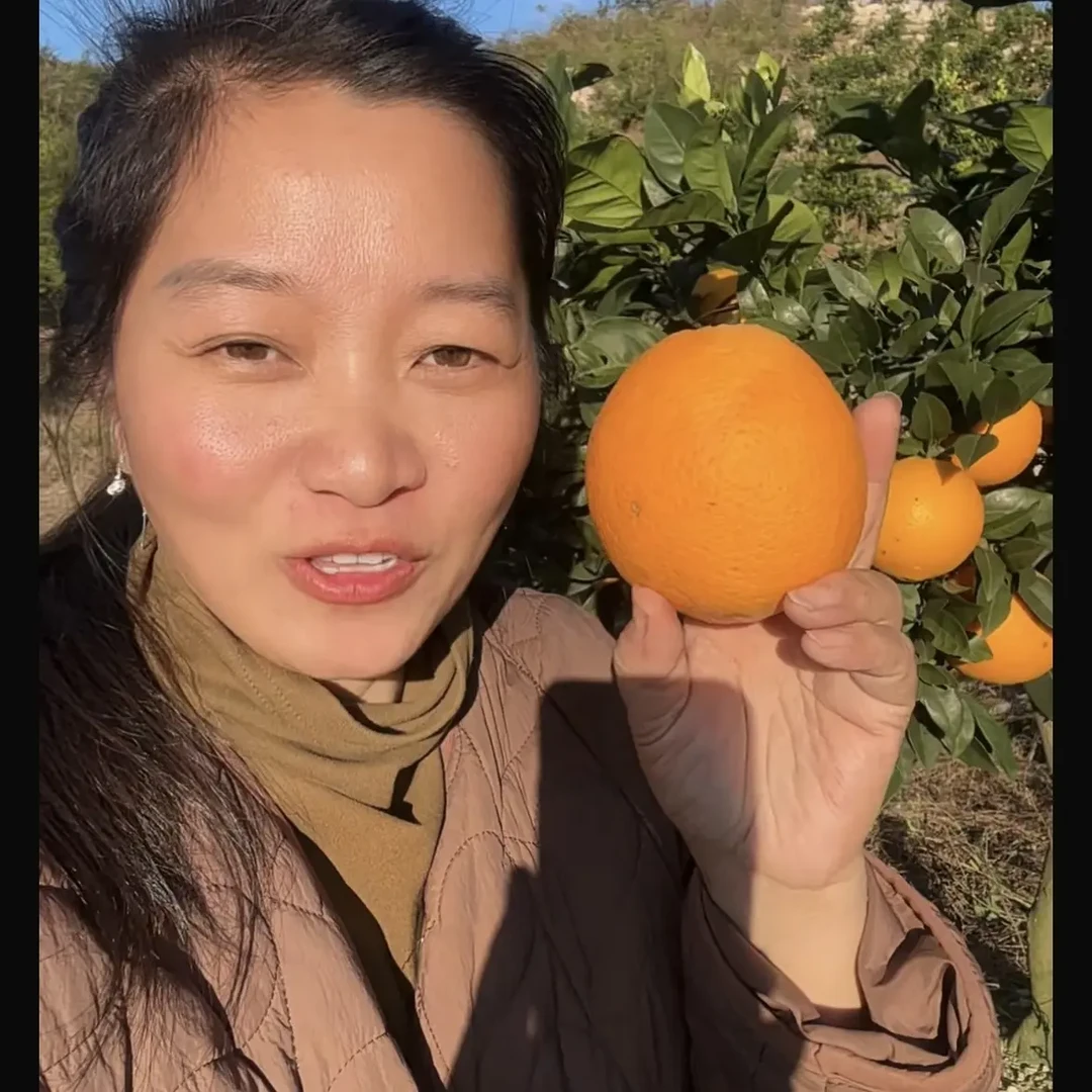 种在仙游高山的赣南脐橙