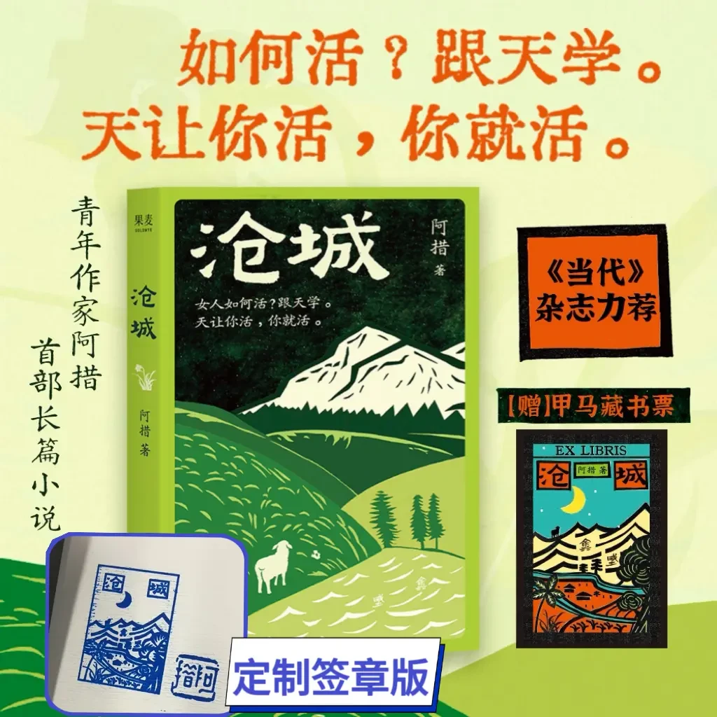 沧城 女人如何活跟天学 阿措滇西北小城女性的坚韧生命力长篇文学