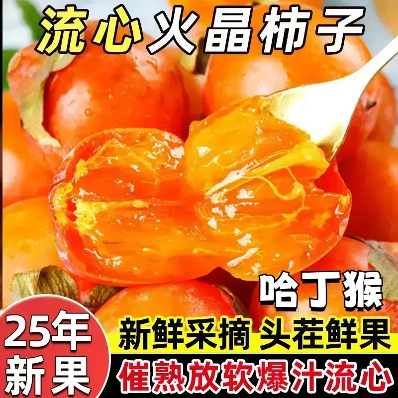 【新品上市】新鲜火晶柿子 现摘 当季热卖水果 催熟放软后吃 哈丁猴