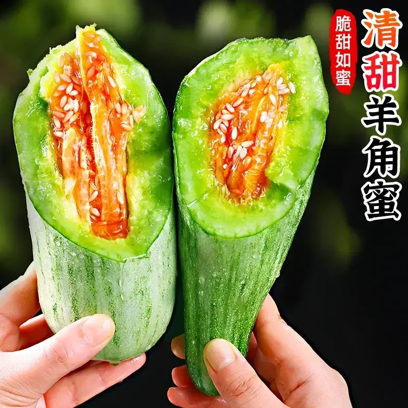 山东羊角蜜甜瓜新鲜水果应当季孕妇脆甜蜜瓜香瓜时令甜瓜整箱发货