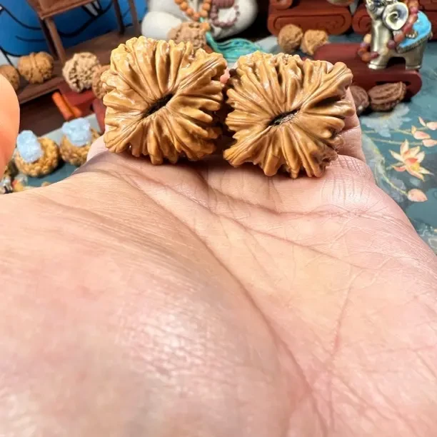 文玩四座楼狮子头官帽麻核桃手把件麒麟纹可盘玩