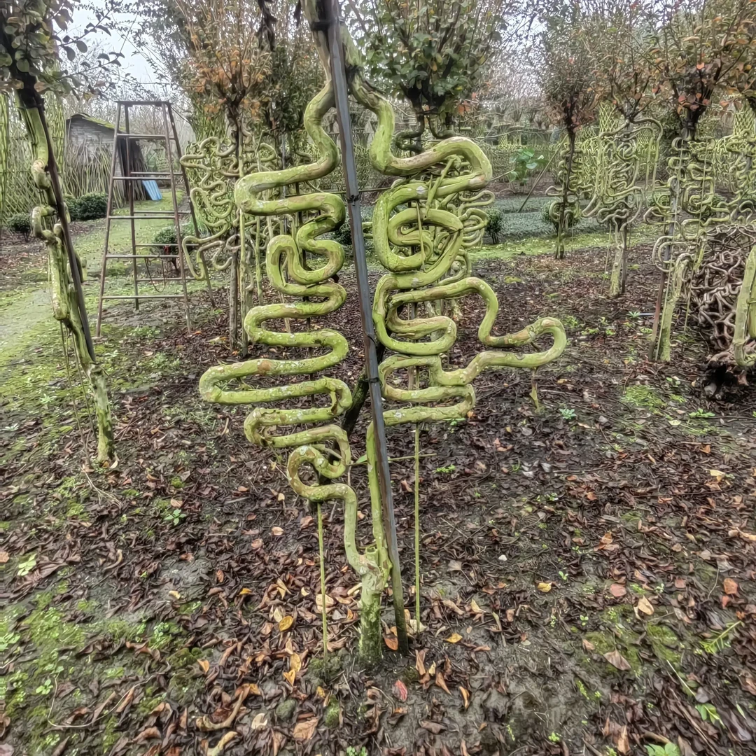 紫薇百家姓韦总专属