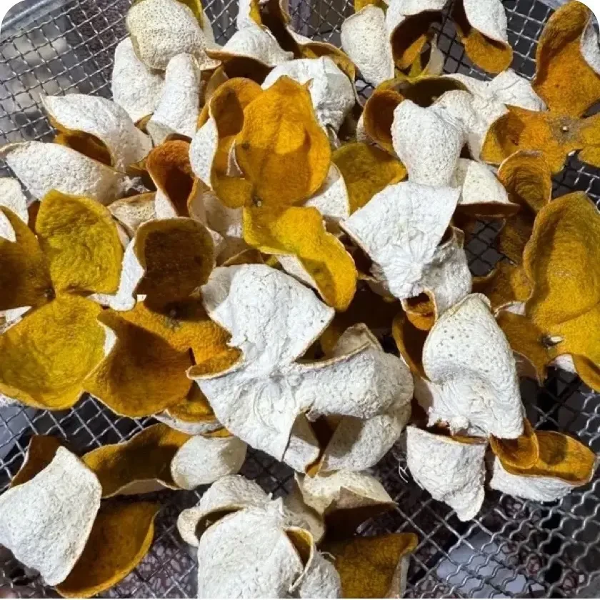 2025老树金色红皮广西浦北茶枝柑