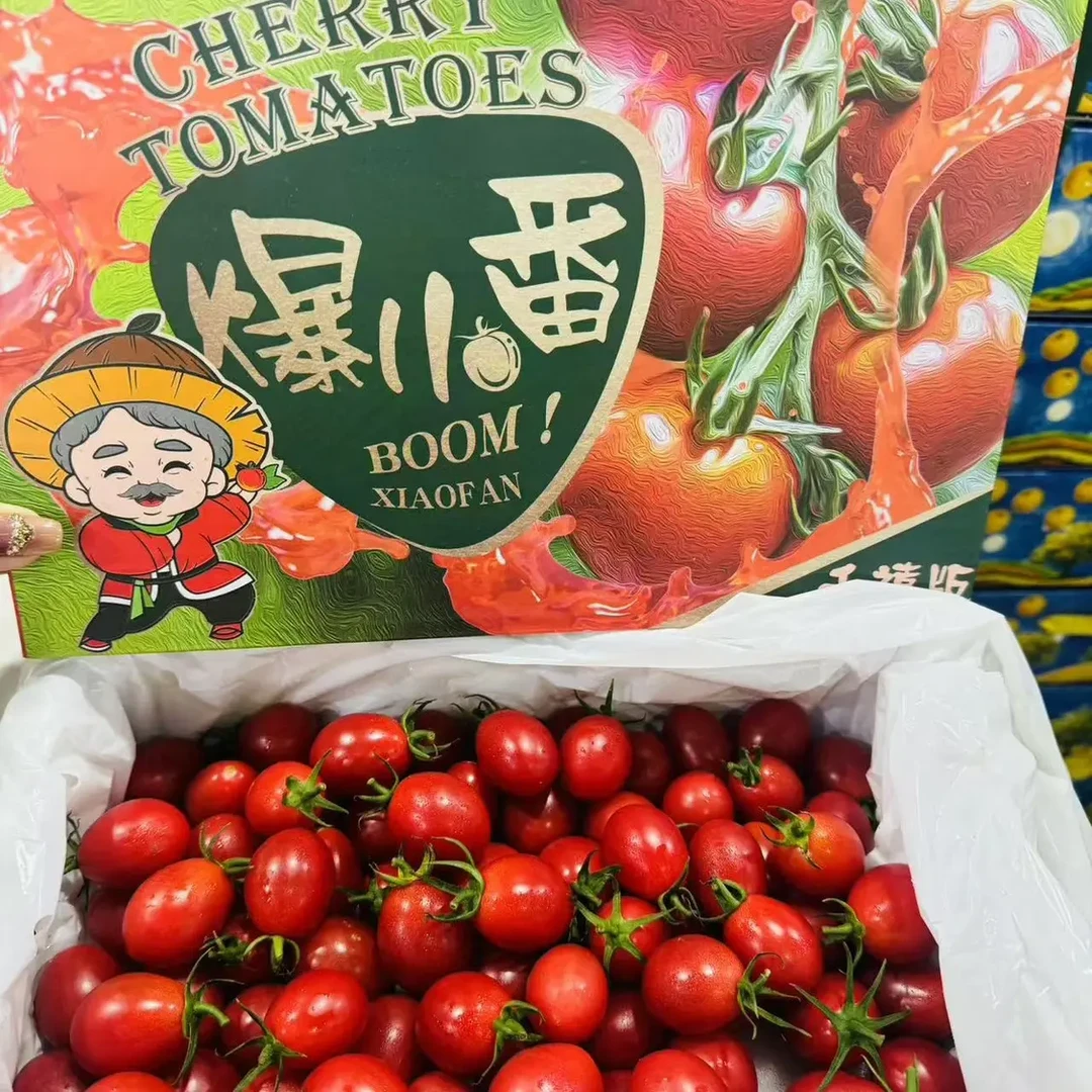 爆小番新鲜番茄健康零食聚会分享佳品（2斤净）