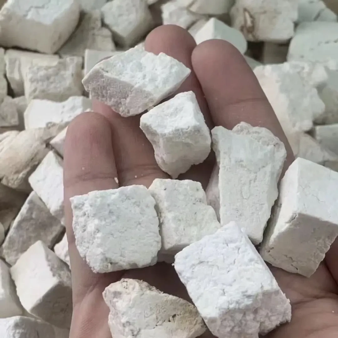 云南茯苓可煲汤煮水