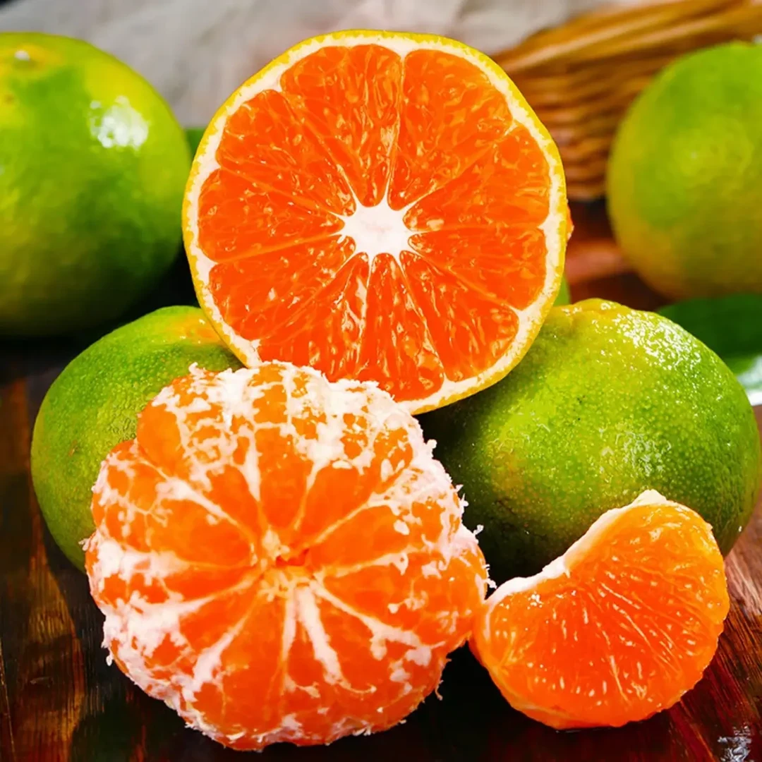 【云南蜜橘】青皮桔子3/5/9斤新鲜应季水果现摘云南蜜橘子薄皮多汁