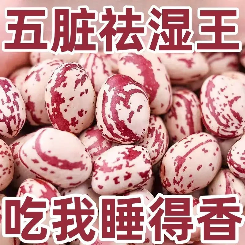 【特补肝肾】云南斑马豆肾豆富贵豆斑马豆耳豆煲汤煮粥五谷杂粮青汁