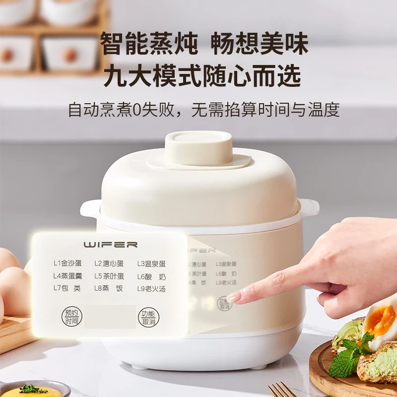 多功能电炖锅煲汤全自动2025新款家用隔水炖盅煮蒸一体锅