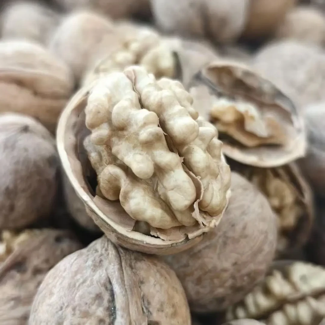 正宗新疆阿克苏185纸皮核桃原味新货