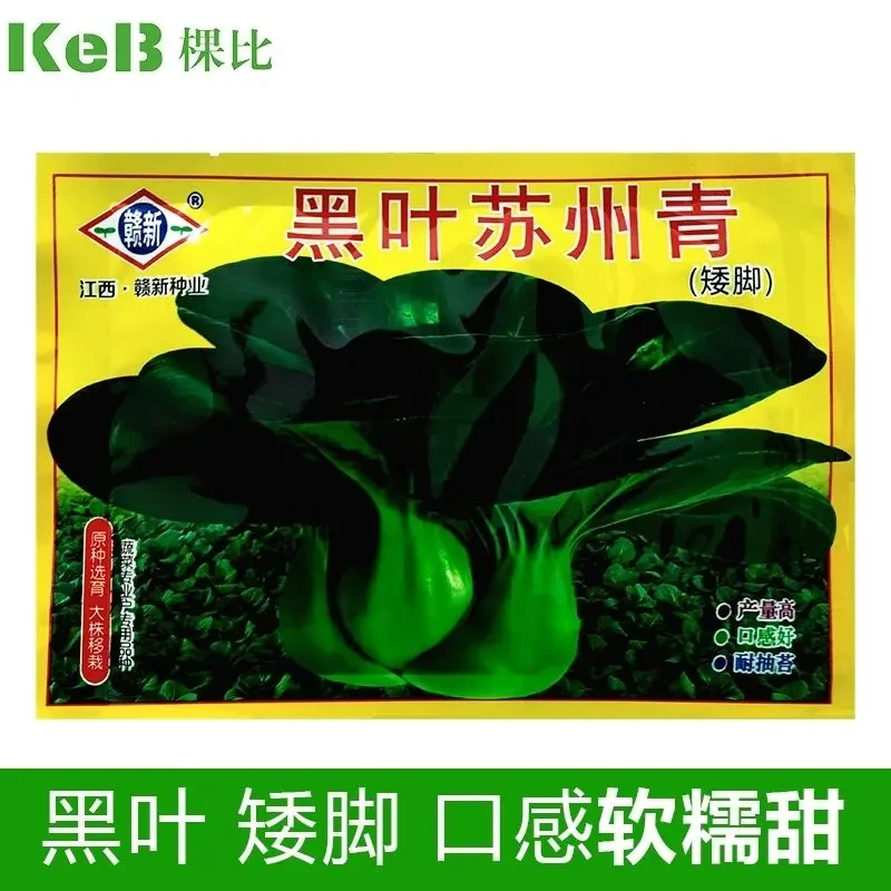 黑叶苏州青种子矮脚嫩糯青菜上海青四季南方北方农村蔬菜种子批发