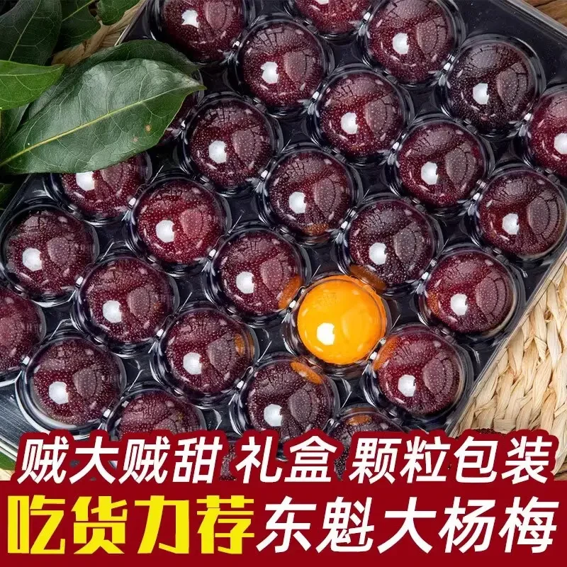 10A大果正宗仙居东魁杨梅新鲜采摘水果礼盒杨梅新鲜发货顺丰包邮