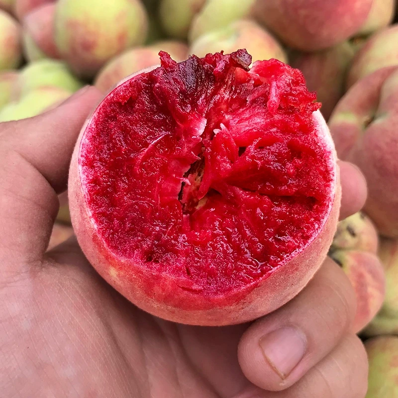 顺丰包邮 头茬中华血桃新鲜采摘5斤包邮