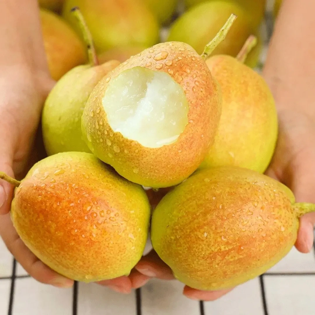 新疆库尔勒香梨应季新鲜水果产地直发香甜可口果肉细腻无渣