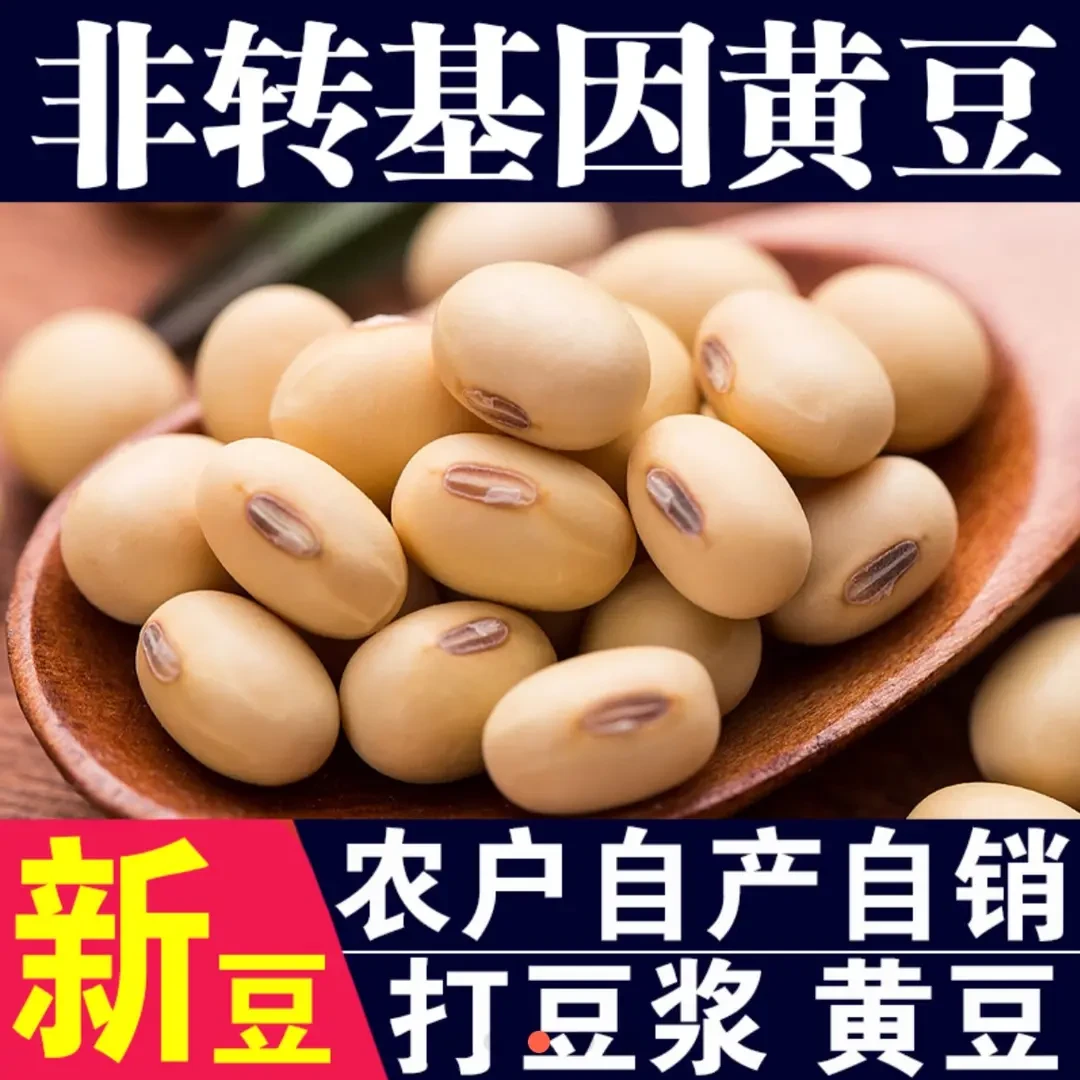 【 感恩回馈 当季新豆 】精选三斤陕北黄豆打豆浆豆颗粒饱满圆润