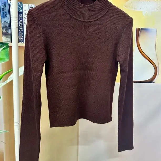 秋冬新款半高领羊毛针织衫女修身显瘦百搭内搭上衣