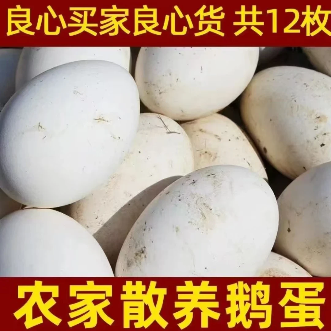 【买六枚送六枚】到手12枚农村土鹅蛋自家散养现捡雁鹅蛋（番薯专属）