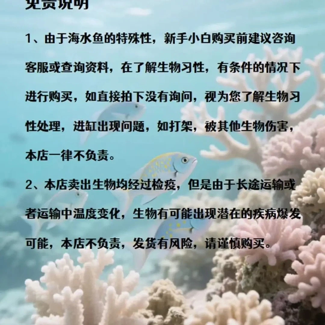 霞蝶，珍珠大帆，纹吊，篮圈，狐狸