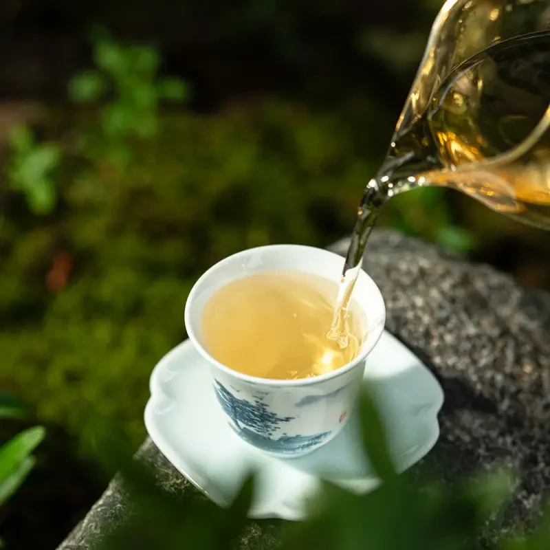 勐库古树月光白一芽一叶 云南白茶 500g