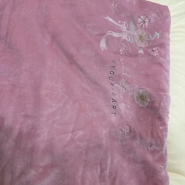 轻奢纯色牛奶绒绣花被套冬季加厚保暖孤品