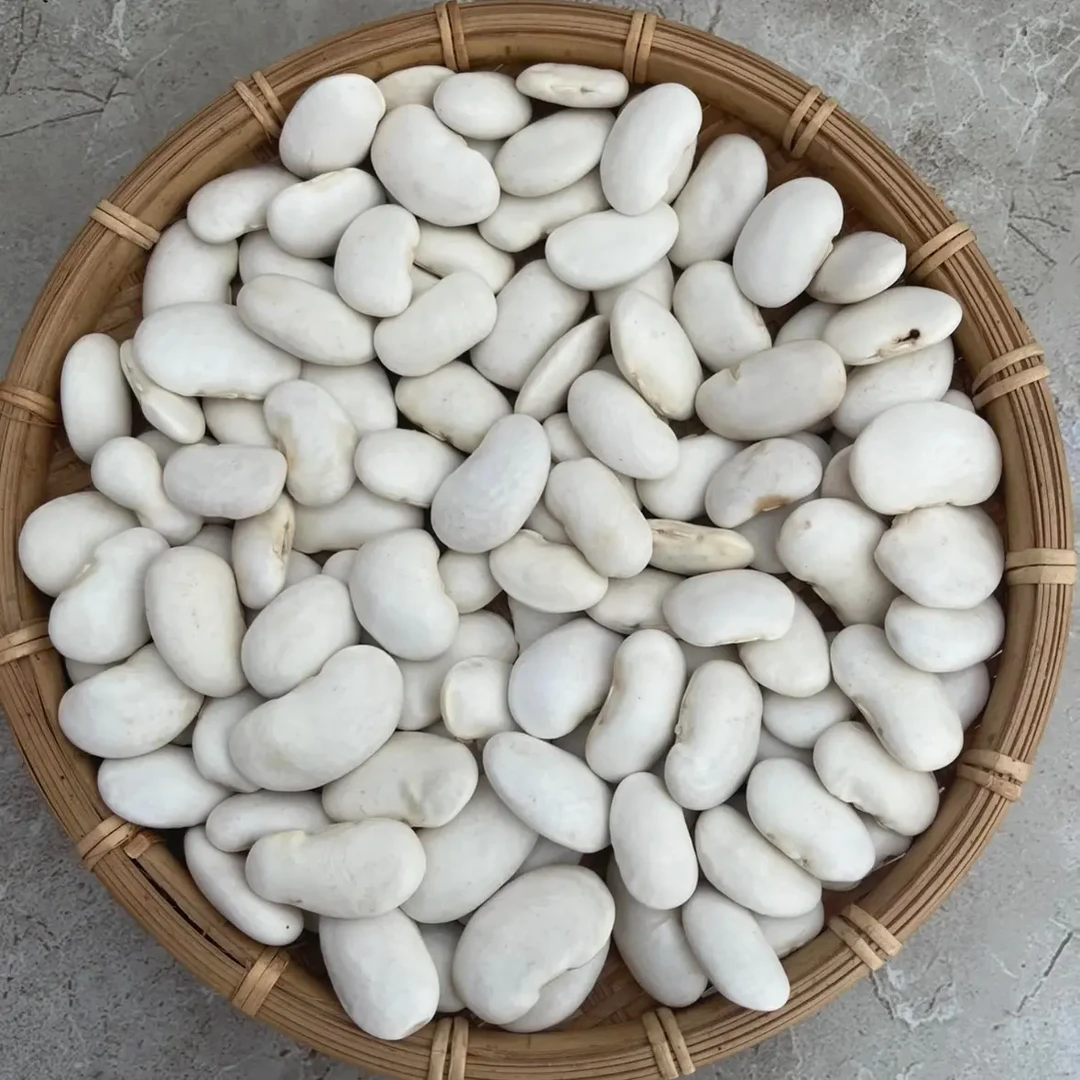 恩施高山农家种植当年白芸豆炖肉豆子好吃云豆芸豆蹄花炖猪蹄老妈