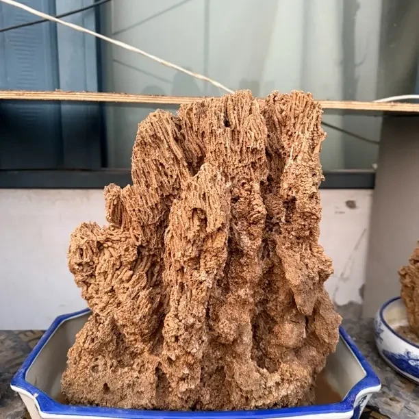 定制款吸水石盆景高35宽28不支持七天无理由退货退款