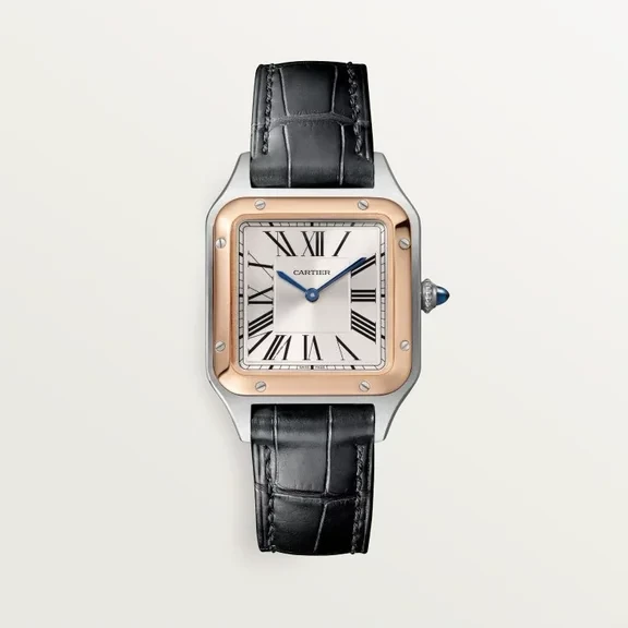 未使用 Cartier/卡地亚  W2SA0012 山度士间金小号 24年全套