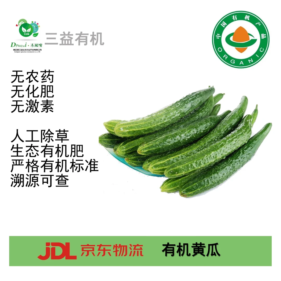有机黄瓜,现货直发