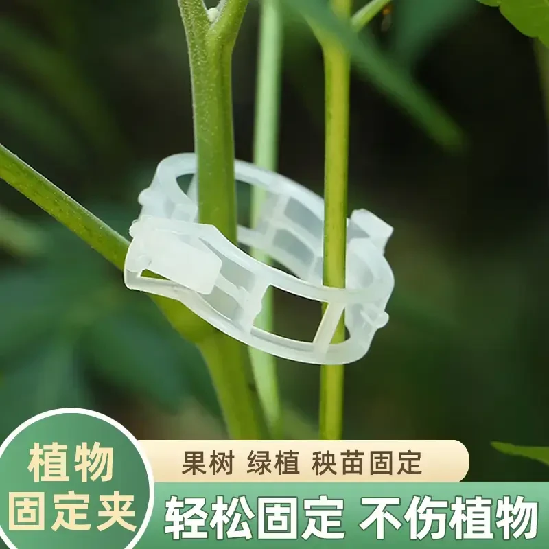 果树绿植藤蔓固定器夹植物卡扣藤蔓夹秧苗定型持久耐用结实优质